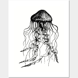 Classic Jellyfish Posters and Art